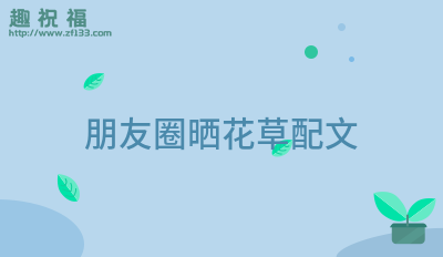 朋友圈晒花草配文